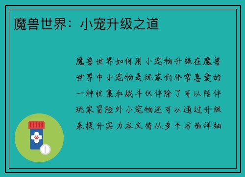 魔兽世界：小宠升级之道